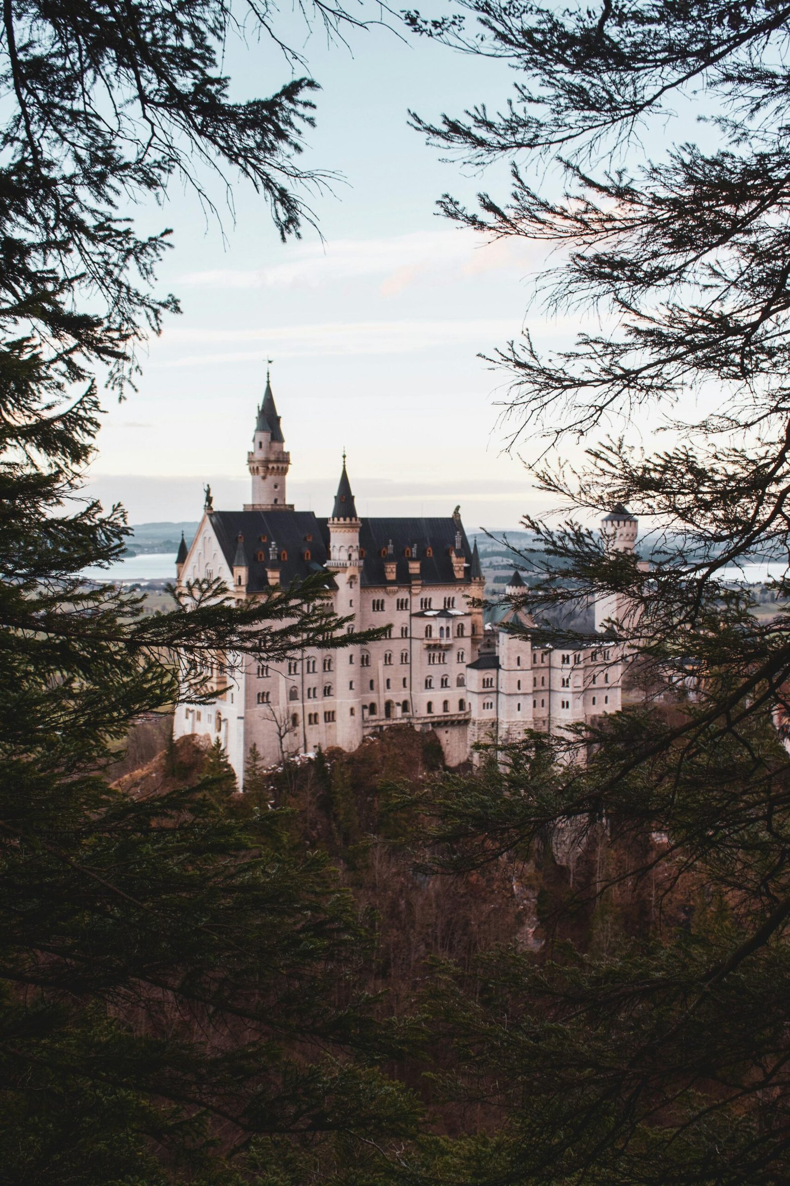 Stunning view of Neuschwanstein Castle framed by trees, set in Bavarian landscape.