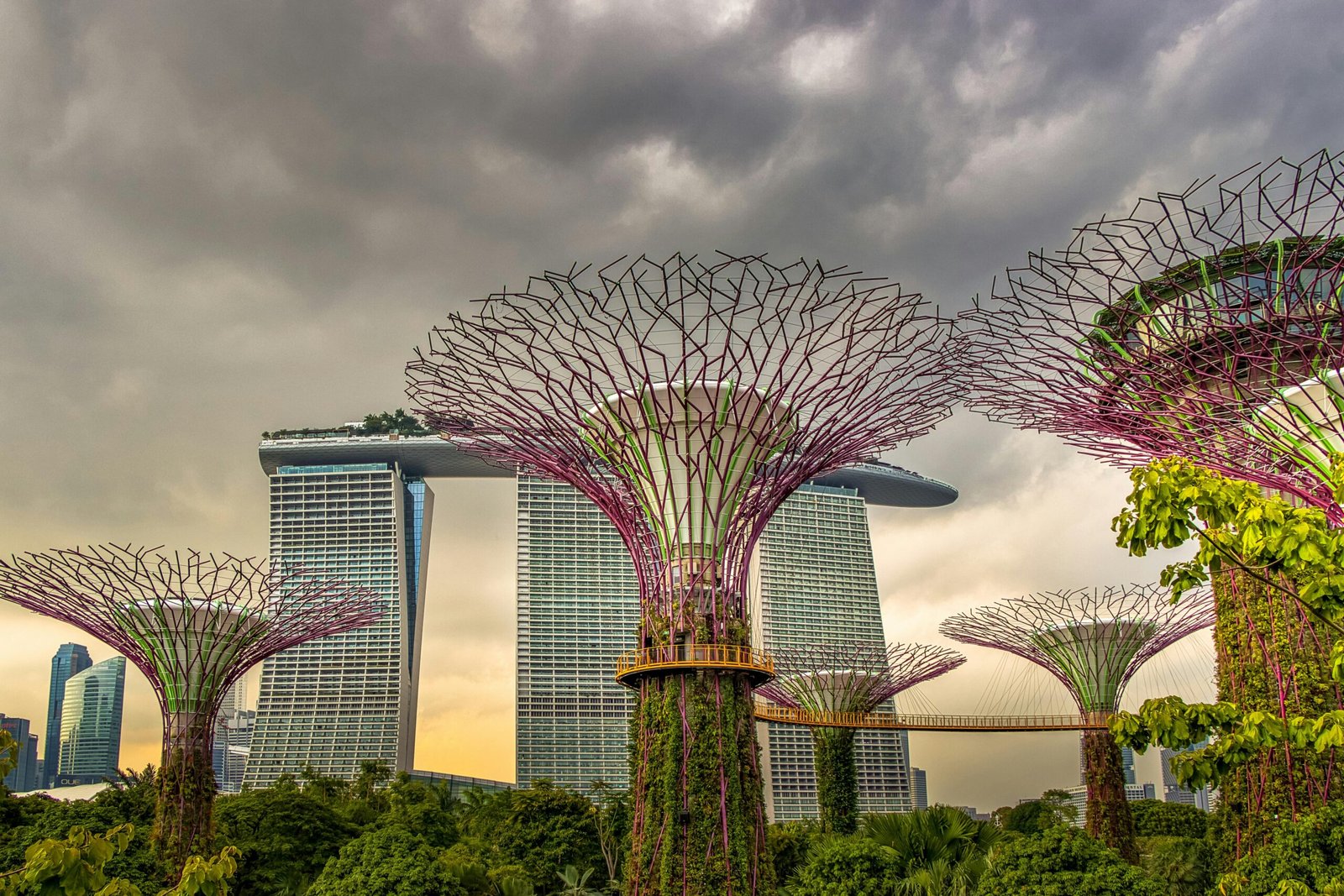 Explore the iconic Supertree Grove and Marina Bay Sands at Gardens by the Bay, Singapore.